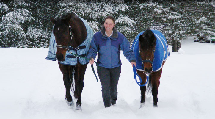 Two blanketed horses being led side by side through deep snow, snow-laden spruce behind them.